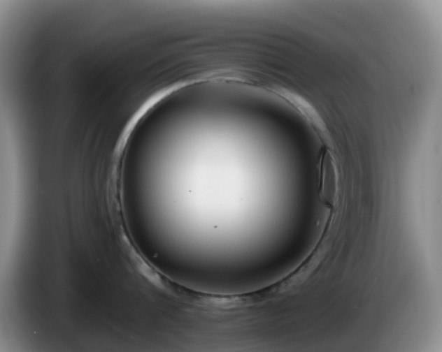 X0000085080816200703121702