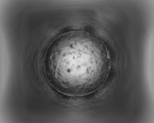 X0000085080817200703121701