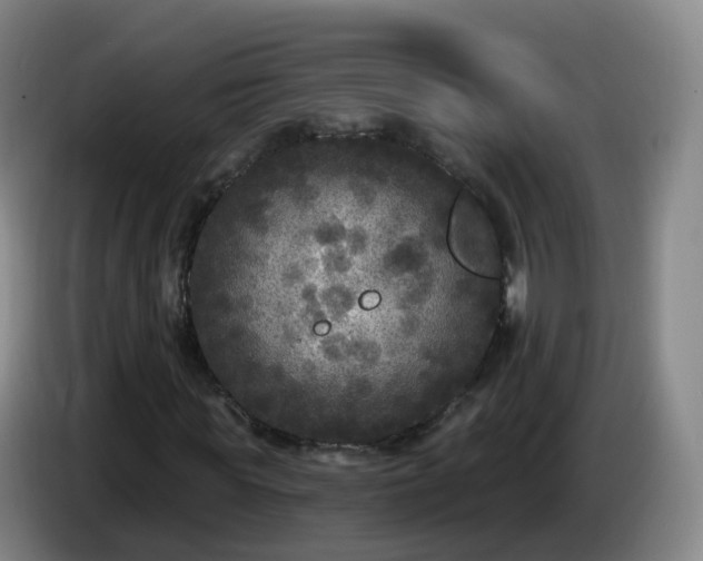 X0000085080819200703121701