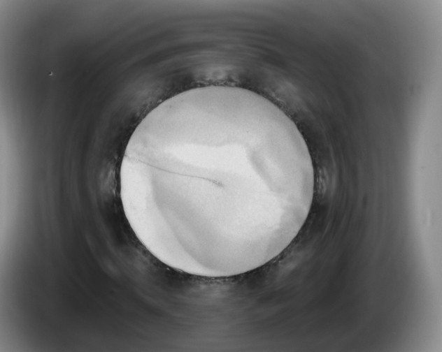 X0000085080820200703121701