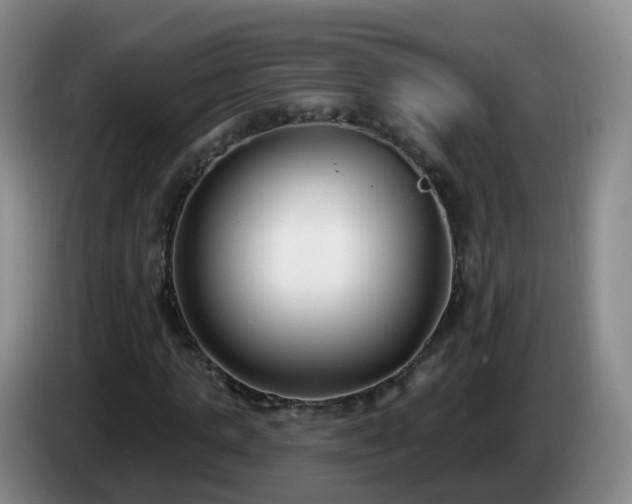 X0000085080821200703121701