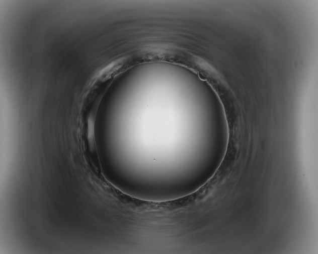 X0000085080822200703121701