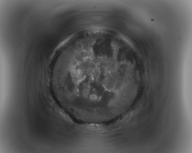 X0000085080823200703121701