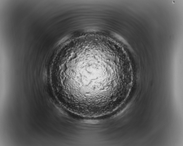 X0000085080825200703121701