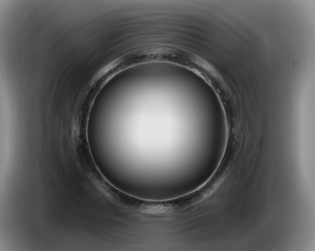 X0000085080826200703121701