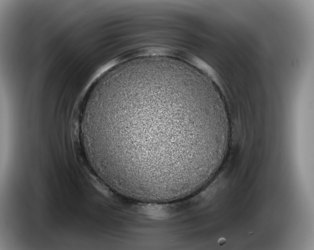 X0000085080827200703121701