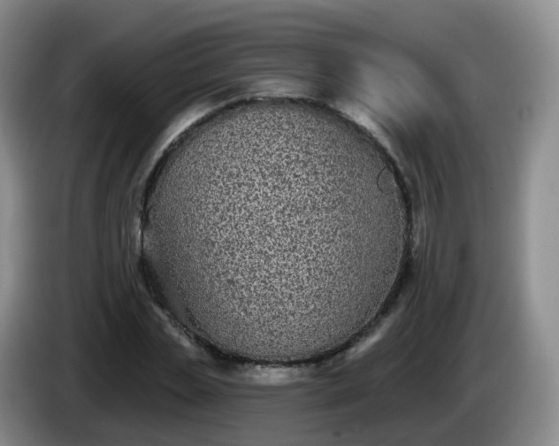 X0000085080829200703121701