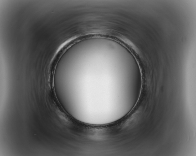 X0000085080830200703121701