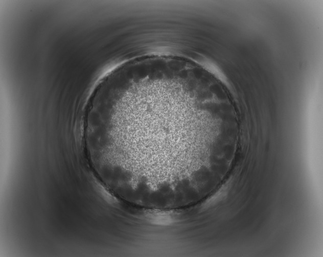 X0000085080831200703121701