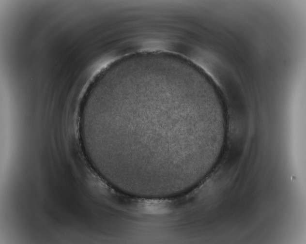 X0000085080832200703121701