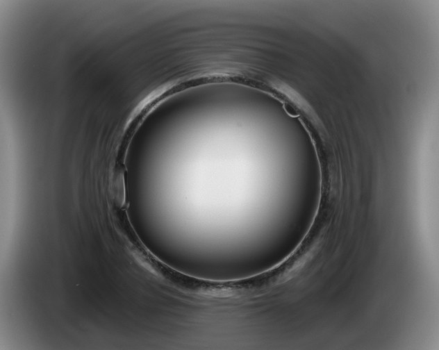 X0000085080834200703121701