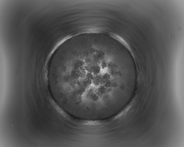 X0000085080835200703121701