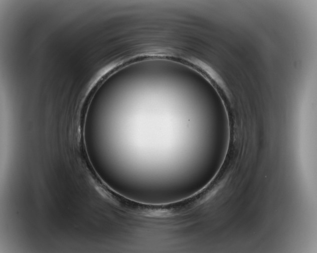 X0000085080837200703121701