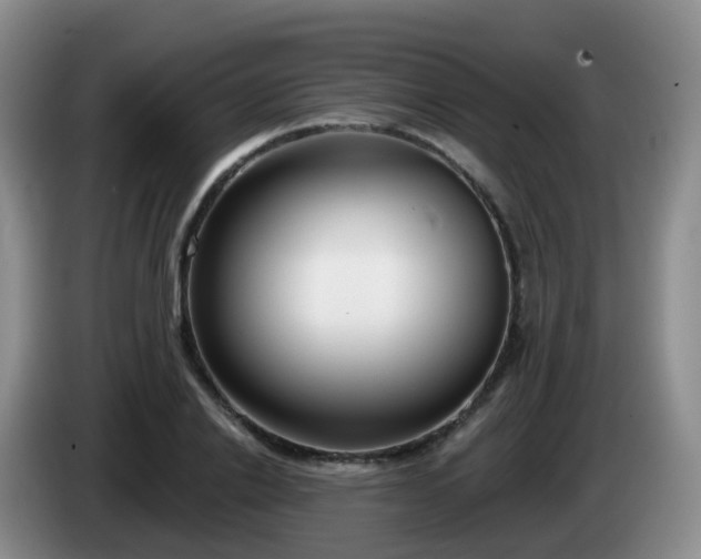 X0000085080838200703121701