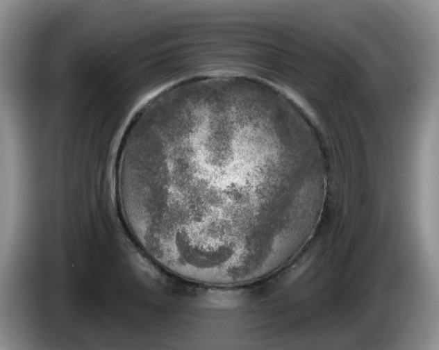 X0000085080840200703121701