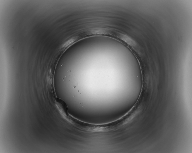 X0000085080841200703121701