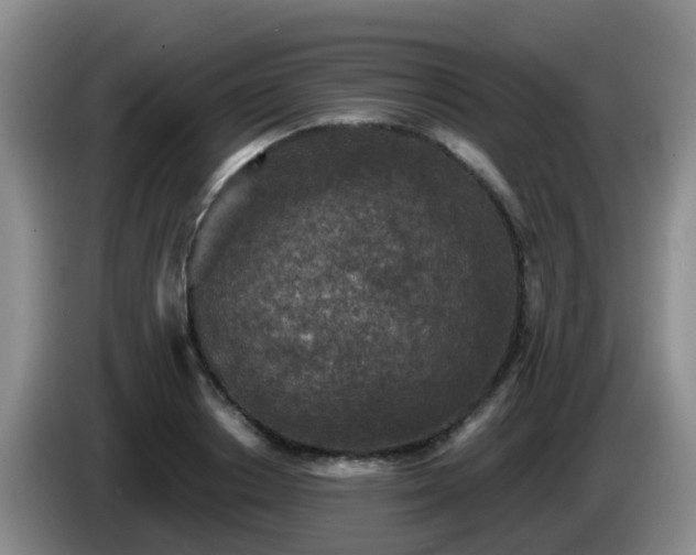 X0000085080842200703121701