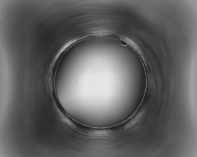 X0000085080843200703121701