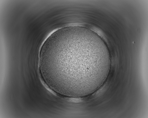 X0000085080844200703121701