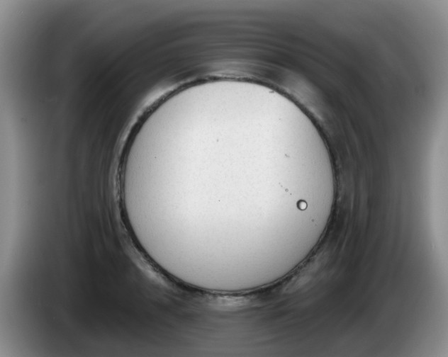 X0000085080848200703121701