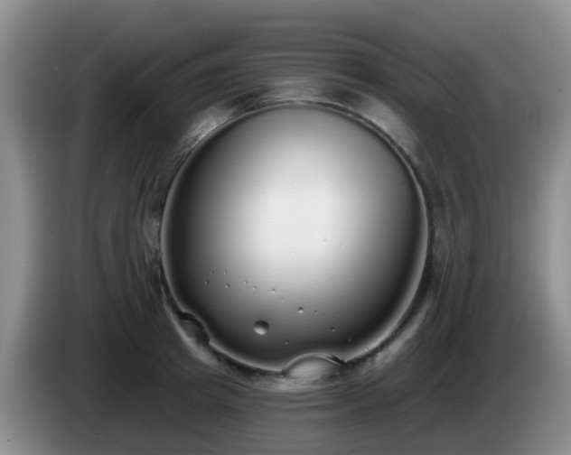 X0000085080849200703121701