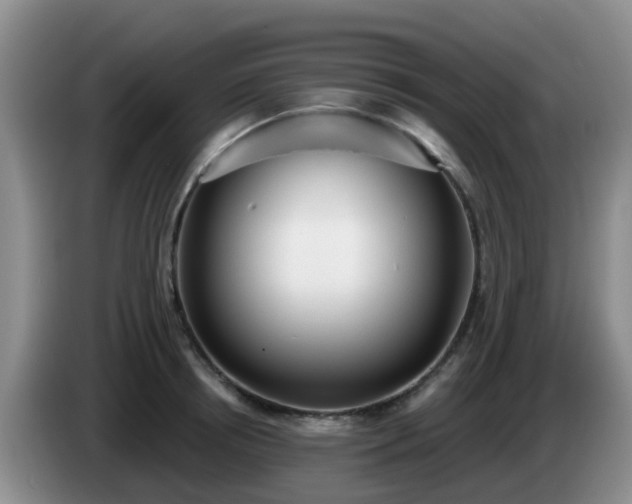 X0000085080850200703121701