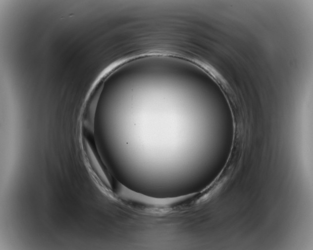 X0000085080854200703121701