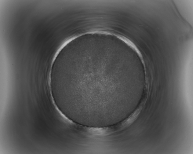 X0000085080855200703121701