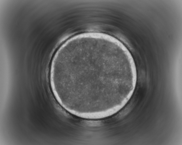 X0000085080856200703121701