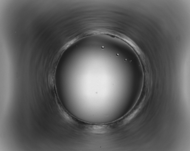 X0000085080857200703121702