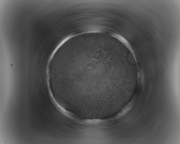 X0000085080859200703121702