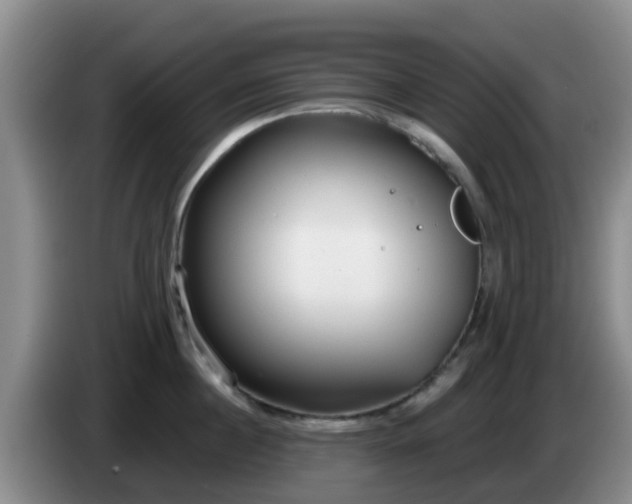 X0000085080860200703121702