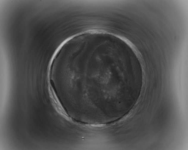 X0000085080864200703121702