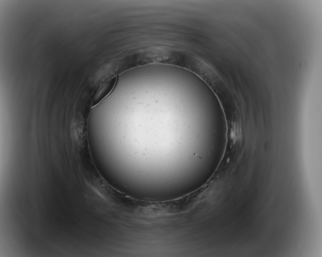 X0000085080867200703121701