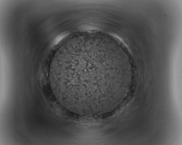 X0000085080871200703121701