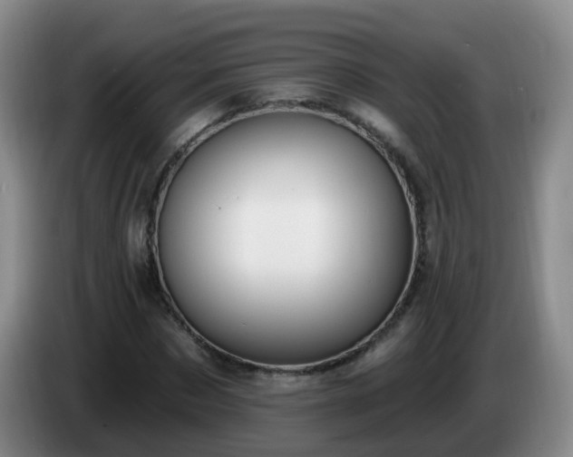 X0000085080873200703121701