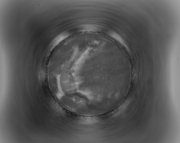 X0000085080874200703121701