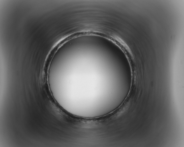 X0000085080876200703121701