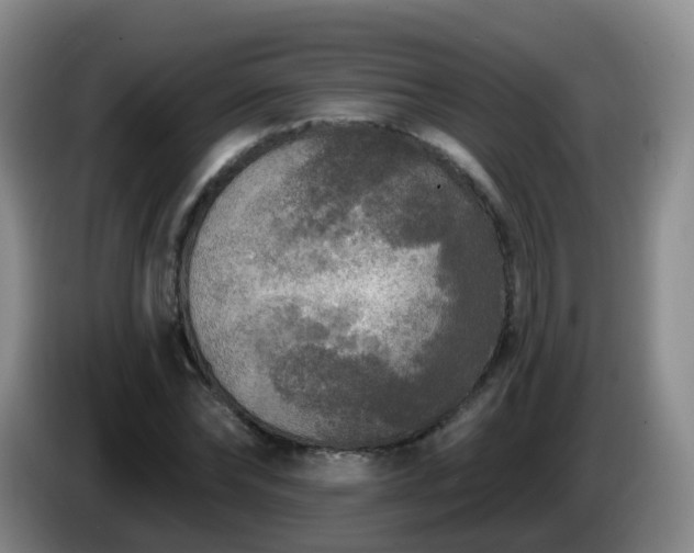 X0000085080878200703121701