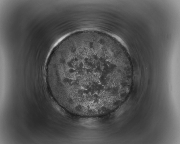 X0000085080879200703121701