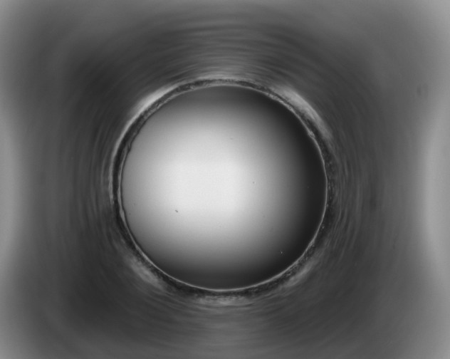 X0000085080884200703121701