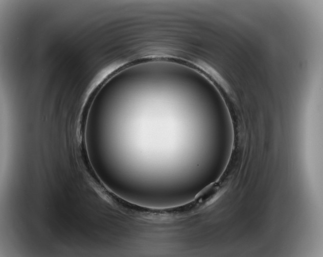 X0000085080885200703121701