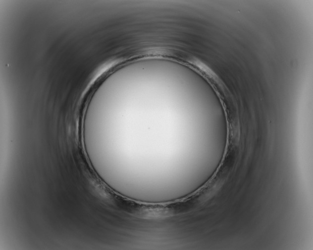 X0000085080886200703121701