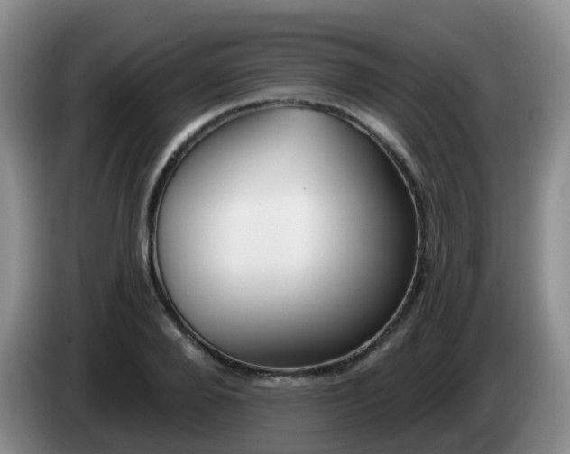 X0000085080888200703121701