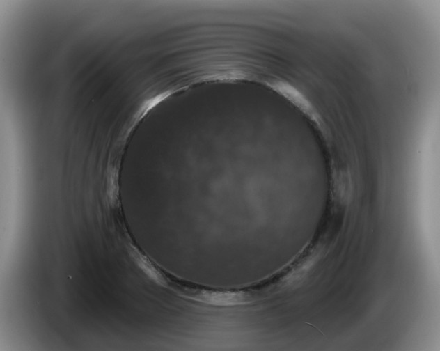 X0000085080889200703121701