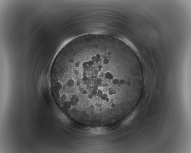 X0000085080891200703121701