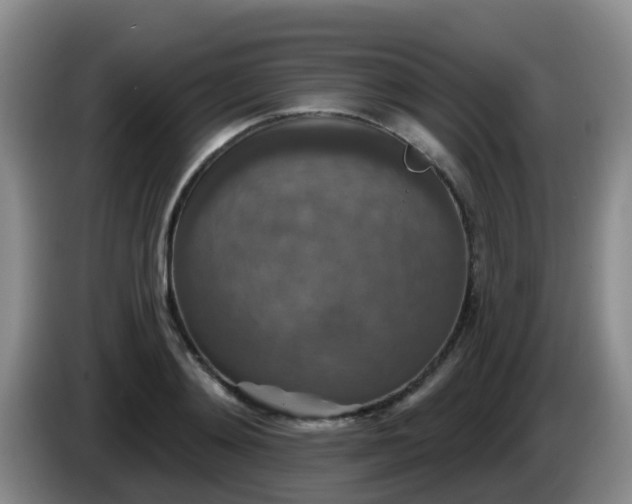 X0000085080892200703121701