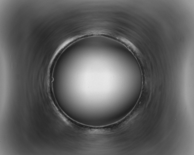 X0000085080894200703121701