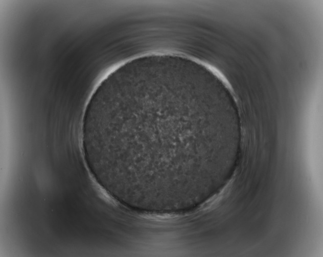 X0000085080895200703121701