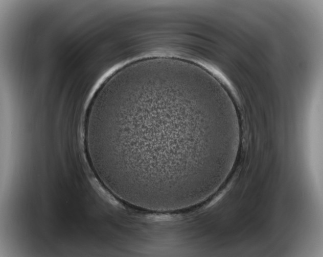 X0000085080896200703121701